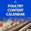 Tailor Made Content Marketing Calendar for Poultry
